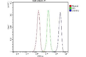 Flow Cytometry analysis of JK cells using anti-GIGYF2 antibody (ABIN7601679). (GIGYF2 antibody  (AA 413-1299))