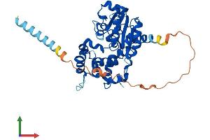 AlphaFold protein structure predicition of Human Recombinant CHST10 Protein, UniprotID O43529 (CHST10 Protein (AA 1-356) (His tag))