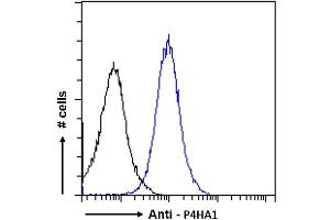Flow Cytometry (FACS) image for anti-Prolyl 4-Hydroxylase, alpha Polypeptide I (P4HA1) (Internal Region) antibody (ABIN190847)