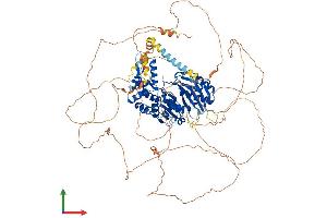 AlphaFold protein structure predicition of Human Recombinant DENND1A Protein, UniprotID Q8TEH3 (DENND1A Protein (AA 1-1009) (His tag))