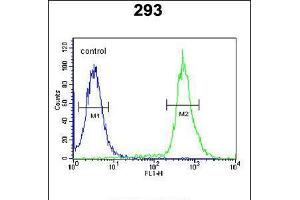 Flow cytometric analysis of 293 cells (right histogram) compared to a negative control cell (left histogram). (TAM41 antibody  (AA 180-208))
