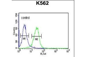 CLDN15 Antibody (Center) (ABIN653788 and ABIN2843073) flow cytometric analysis of K562 cells (right histogram) compared to a negative control cell (left histogram).