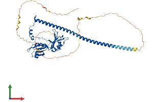 AlphaFold protein structure predicition of Human Recombinant NONO Protein, UniprotID Q15233 (NONO Protein (AA 1-471) (His tag))