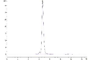 The purity of Human EpCAM is greater than 95 % as determined by SEC-HPLC. (EpCAM Protein (AA 24-265) (Fc Tag))
