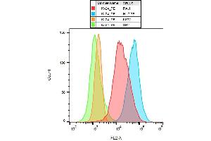 Surface staining of several cell lines with anti-human CD70 (Ki-24) PE. (CD70 antibody  (PE))
