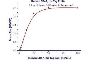 Immobilized Human SIRP alpha, Fc Tag  with a linear range of 1. (CD47 Protein (CD47) (AA 19-139) (His tag))