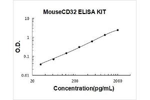 Fc Fragment of IgG, Low Affinity IIb, Receptor (CD32) (FCGR2B) ELISA Kit