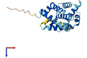 BAX Protein (AA 1-192) (His tag)