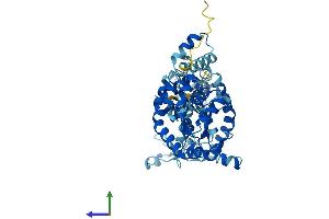 Protein Structure (PS) image for Adenylate Kinase 8 (AK8) (AA 1-479) protein (His tag) (ABIN7557022)