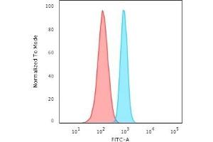 Flow Cytometric Analysis of HeLa cells using Spectrin beta III Rabbit Recombinant Monoclonal (SPTBN2/2894R) followed by Goat anti-rabbit IgG-CF488 (Blue); Isotype Control (Red).