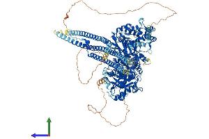 Protein Structure (PS) image for phospholipase C, beta 1 (phosphoinositide-Specific) (PLCB1) (AA 1-1216) protein (His tag) (ABIN7565274)
