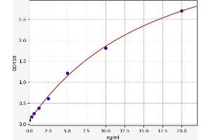 Typical standard curve (DBT ELISA Kit)
