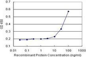 HOOK1 (Human) Matched Antibody Pair