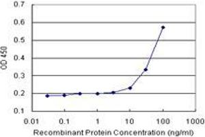 Sandwich ELISA detection sensitivity ranging from 10 ng/mL to 100 ng/mL. (HOOK1 (Human) Matched Antibody Pair)