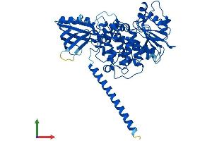 AlphaFold protein structure predicition of Mouse Recombinant Mtmr9 Protein, UniprotID Q9Z2D0
