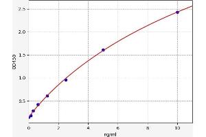 Typical standard curve (SQSTM1 ELISA Kit)