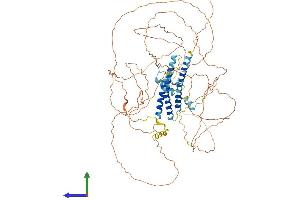Protein Structure (PS) image for Centrosomal Protein 68kDa (CEP68) (AA 1-733) protein (His tag) (ABIN7559069)
