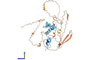 AlphaFold protein structure predicition of Mouse Recombinant Klf8 Protein, UniprotID Q8BLM0