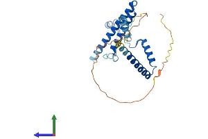 AlphaFold protein structure predicition of Human Recombinant MED8 Protein, UniprotID Q96G25 (MED8 Protein (AA 1-268) (His tag))