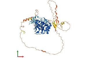 AlphaFold protein structure predicition of Mouse Recombinant Kmt5c Protein, UniprotID Q6Q783 (SUV420H2/KMT5C Protein (AA 1-468) (His tag))