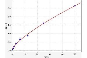 Typical standard curve (KMO ELISA Kit)