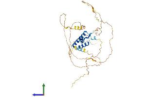 AlphaFold protein structure predicition of Human Recombinant TCF7 Protein, UniprotID P36402