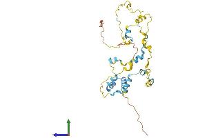 AlphaFold protein structure predicition of Mouse Recombinant Tex26 Protein, UniprotID Q0VB26
