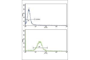 Flow Cytometry (FACS) image for anti-Epsin 3 (EPN3) antibody (ABIN3002666) (EPN3 antibody)