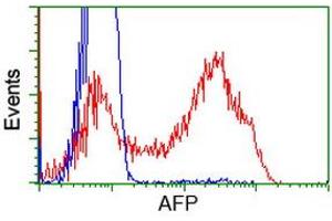 HEK293T cells transfected with either RC206622 overexpress plasmid (Red) or empty vector control plasmid (Blue) were immunostained by anti-AFP antibody (ABIN2452711), and then analyzed by flow cytometry. (alpha Fetoprotein antibody)