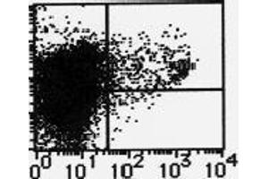 Flow Cytometry (FACS) image for anti-Integrin, alpha X (Complement Component 3 Receptor 4 Subunit) (ITGAX) antibody (ABIN1449276) (CD11c antibody)