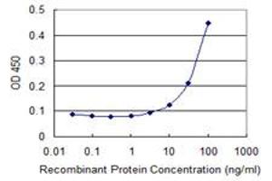 ELISA image for anti-Membrane Protein, Palmitoylated 5 (MAGUK P55 Subfamily Member 5) (MPP5) (AA 79-177) antibody (ABIN528631)