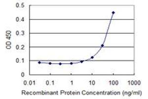 Detection limit for recombinant GST tagged MPP5 is 3 ng/ml as a capture antibody. (MPP5 antibody  (AA 79-177))