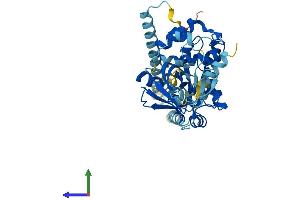 AlphaFold protein structure predicition of Human Recombinant CYTH3 Protein, UniprotID O43739 (Cytohesin 3 Protein (CYTH3) (AA 1-400) (His tag))