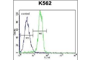 STARD6 Antibody (C-term) (ABIN655777 and ABIN2845214) flow cytometric analysis of K562 cells (right histogram) compared to a negative control cell (left histogram). (STARD6 antibody  (C-Term))