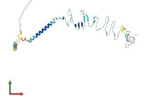 Protein Structure (PS) image for Sarcoglycan, beta (43kDa Dystrophin-Associated Glycoprotein) (SGCB) (AA 1-320) protein (His tag) (ABIN7556751)