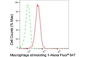 Flow cytometric analysis of Macrophage stimulating 1 expression in HepG2 cells using Macrophage stimulating 1 antibody (ABIN7799315), 1:2,000).