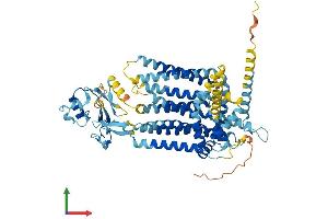 AlphaFold protein structure predicition of Human Recombinant SLC44A3 Protein, UniprotID Q8N4M1 (SLC44A3 Protein (AA 1-653) (His tag))