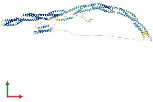 Protein Structure (PS) image for Chromosome 14 Open Reading Frame 49 (C14orf49) (AA 1-975) protein (His tag) (ABIN7563777)