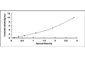 Cyclin A ELISA Kit