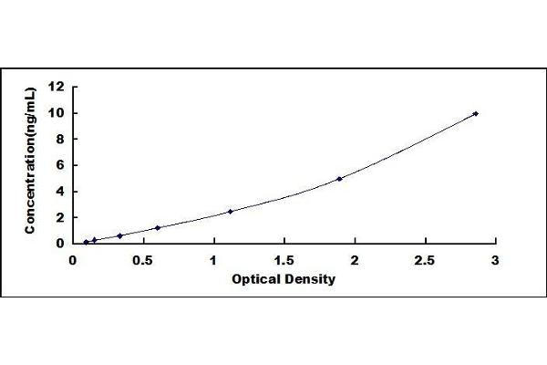 Cyclin A ELISA Kit