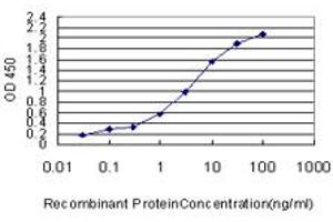Detection limit for recombinant GST tagged RAD51 is approximately 0. (RAD51 antibody  (AA 1-242))