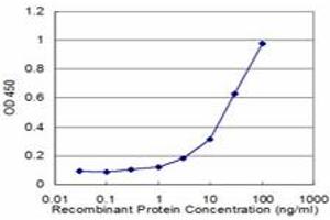 Detection limit for recombinant GST tagged PLK1 is approximately 1ng/ml as a capture antibody. (PLK1 antibody  (AA 1-603))