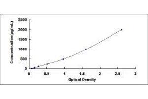 ELISA image for Cathepsin B (CTSB) ELISA Kit (ABIN426168)