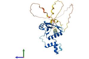 AlphaFold protein structure predicition of Human Recombinant CISH Protein, UniprotID Q9NSE2 (CISH Protein (AA 1-258) (His tag))