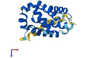 BCL2A1 Protein (AA 1-175) (His tag)