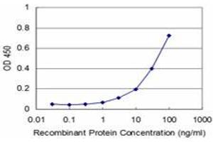 Detection limit for recombinant GST tagged NUDT4 is approximately 3ng/ml as a capture antibody. (NUDT4 antibody  (AA 1-181))