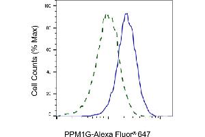 Validation of PPM1G knockdown using flow cytometry. (Recombinant PPM1G antibody)