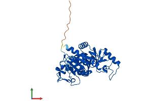 Protein Structure (PS) image for Uridine Phosphorylase 1 (UPP1) (AA 1-310) protein (His tag) (ABIN7544970)