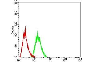 Flow cytometric analysis of HL-60 cells using CD334 mouse mAb (green) and negative control (red). (FGFR4 antibody  (AA 22-369))