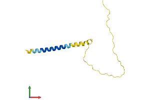 AlphaFold protein structure predicition of Mouse Recombinant Hrct1 Protein, UniprotID Q9D6B9 (HRCT1 Protein (AA 1-109) (His tag))